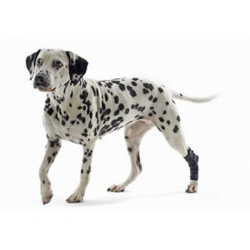 Kruuse Rehab Dog Hock Protector / Hock Brace